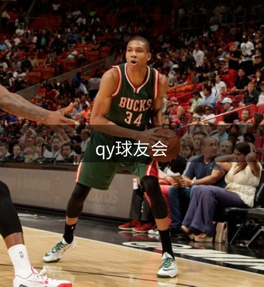 探索本站